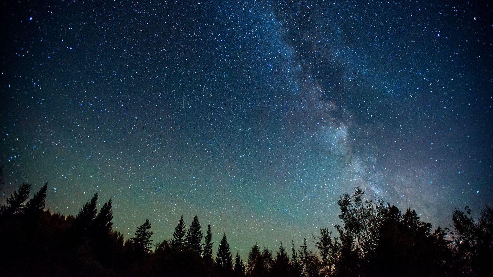 Céu de estrelas acima de florestas