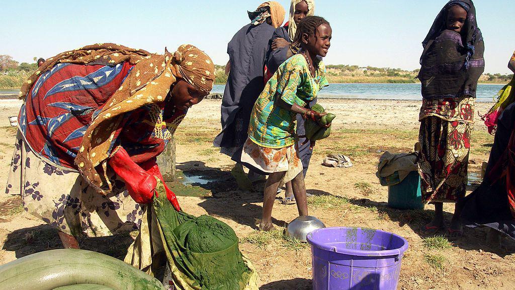 Tribu un África recolecta espirulina