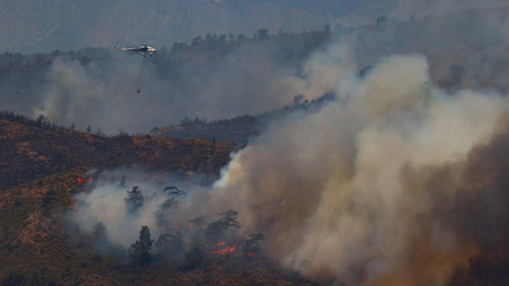 2022'de Türkiye'de orman yangınları yaşandı