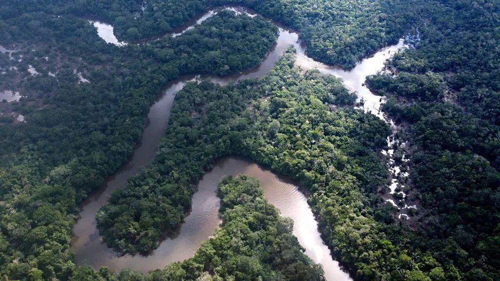 Foto aérea de um rio que atravessa a floresta 