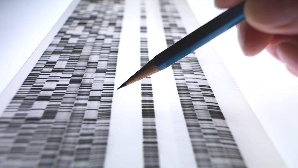 Investigador estudiando el código genético