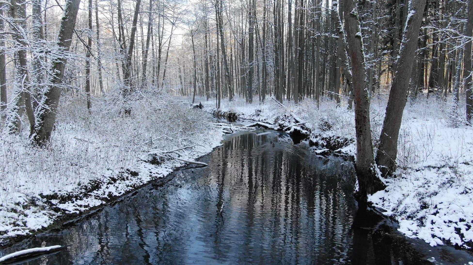 a river runs thru the centre of this picture with snow covered woodland on either side. the clear sky is slightly reflected in the river.