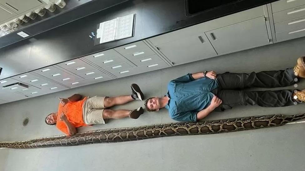 Jake Waleri (à direita) estava caçando cobras por cerca de dois anos quando capturou uma píton de quase seis metros que quebrou o recorde