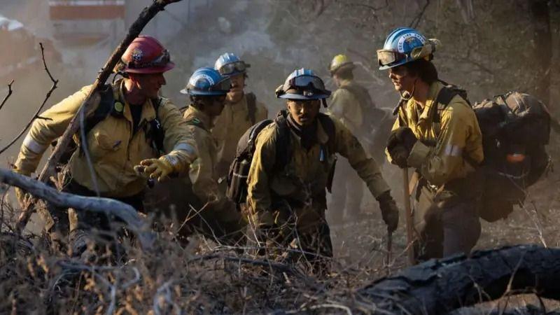 Bombeiros em meio a vegetação queimada