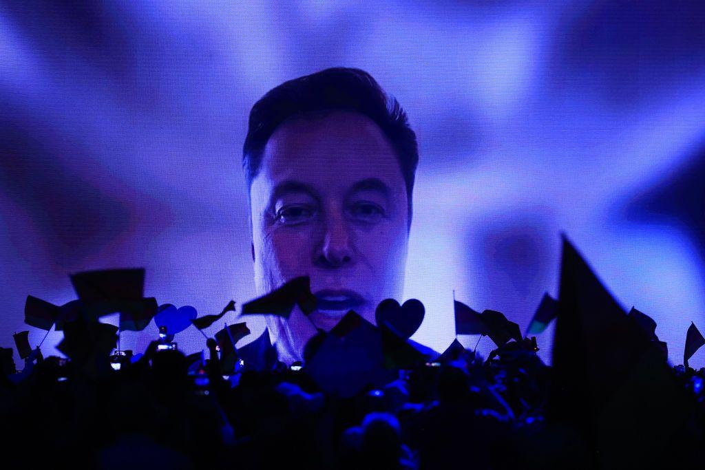 Elon Musk se dirige por video a simpatizante de la AFD en un mitin del partido. 