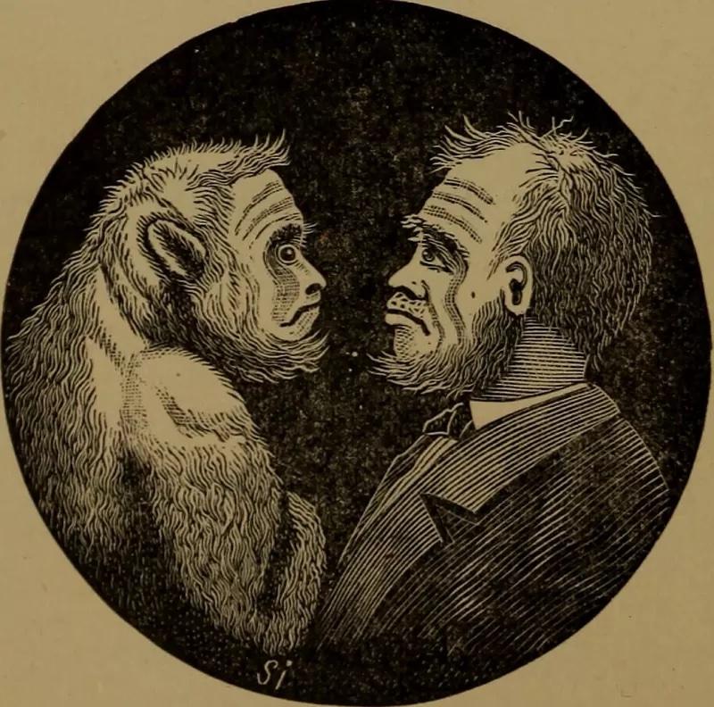 Gambar manusia dan kera