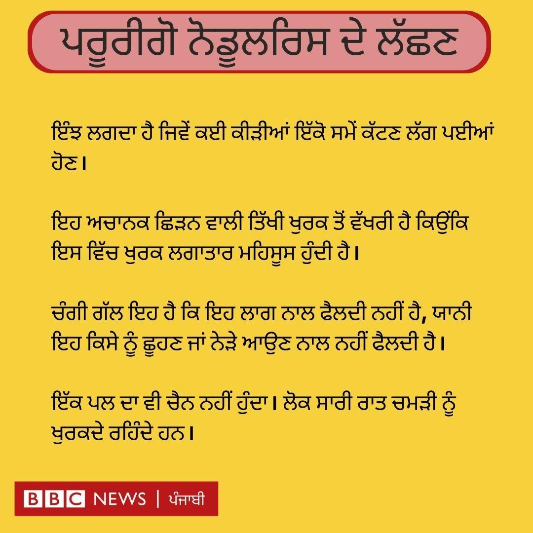 ਪਰੂਰੀਗੋ ਨੋਡੂਲਰਿਸ