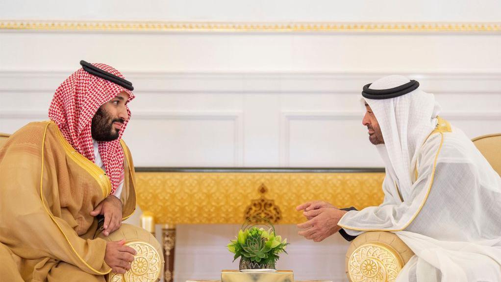 محمد بن سلمان ومحمد بن زايد