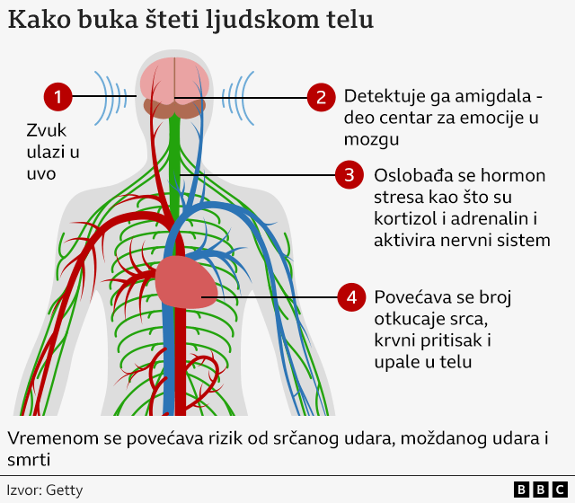 kako buka utiče na telo