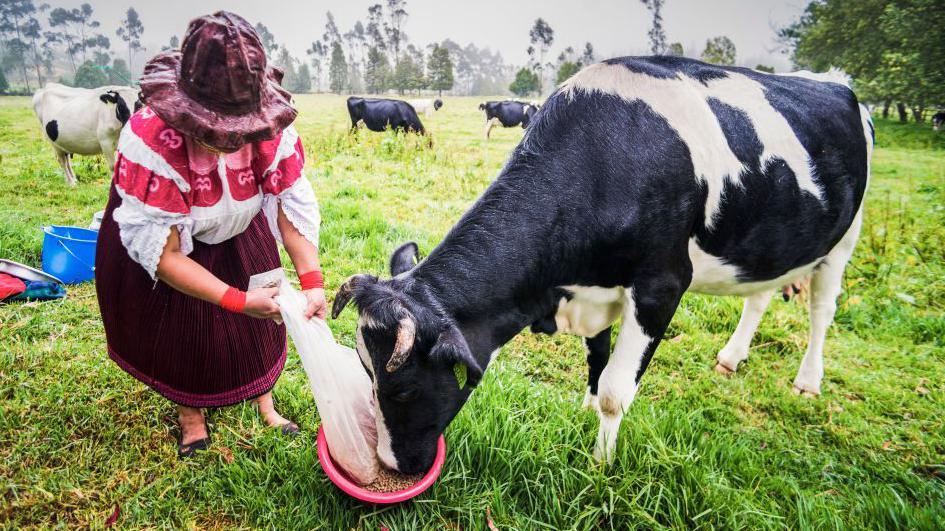 Mujer con vaca.