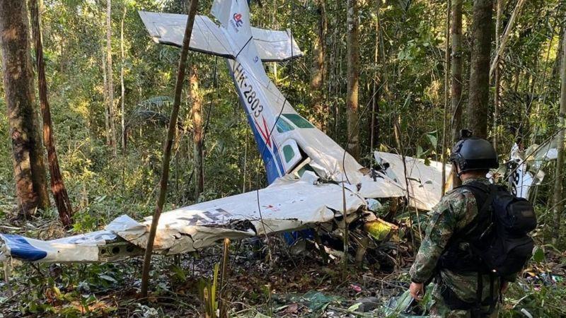 Avião caído em meio à floresta