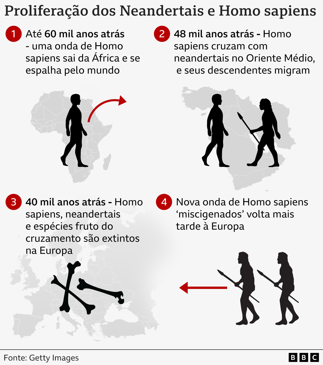 Infográfico com quatro painéis mostrando como 1. Os humanos deixaram a África, 2. cruzaram com os neandertais há 48 mil anos, 3. 40 mil anos atrás, Ambas as espécies foram extintas na Europa 4. Uma nova onda de Homo sapiens 'miscigenados' se mudou para a Europa