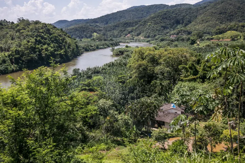 Floresta em paisagem acidentada