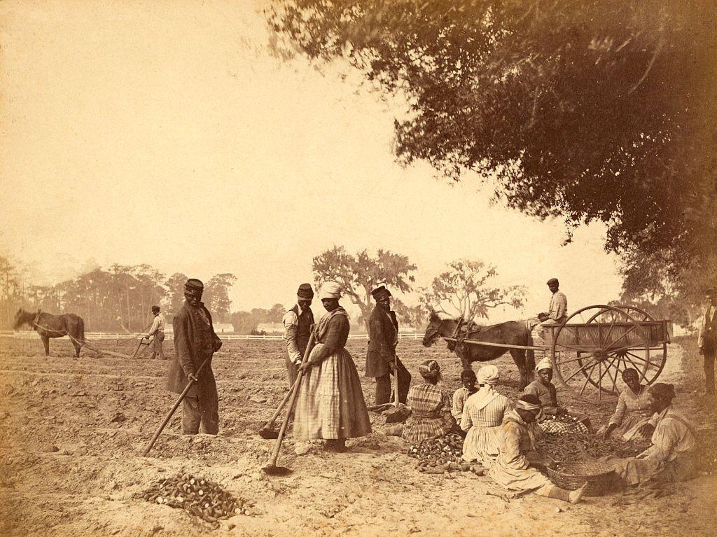 Esclavas trabajando en los campos de batata de la plantación Hopkinson (Carolina del Sur, EE. UU.). Hacia 1862.