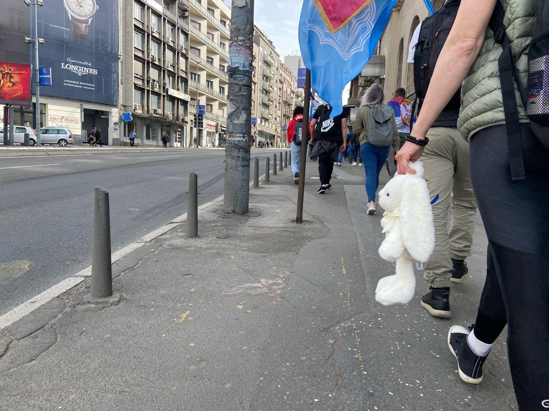 studenti, studentski protest