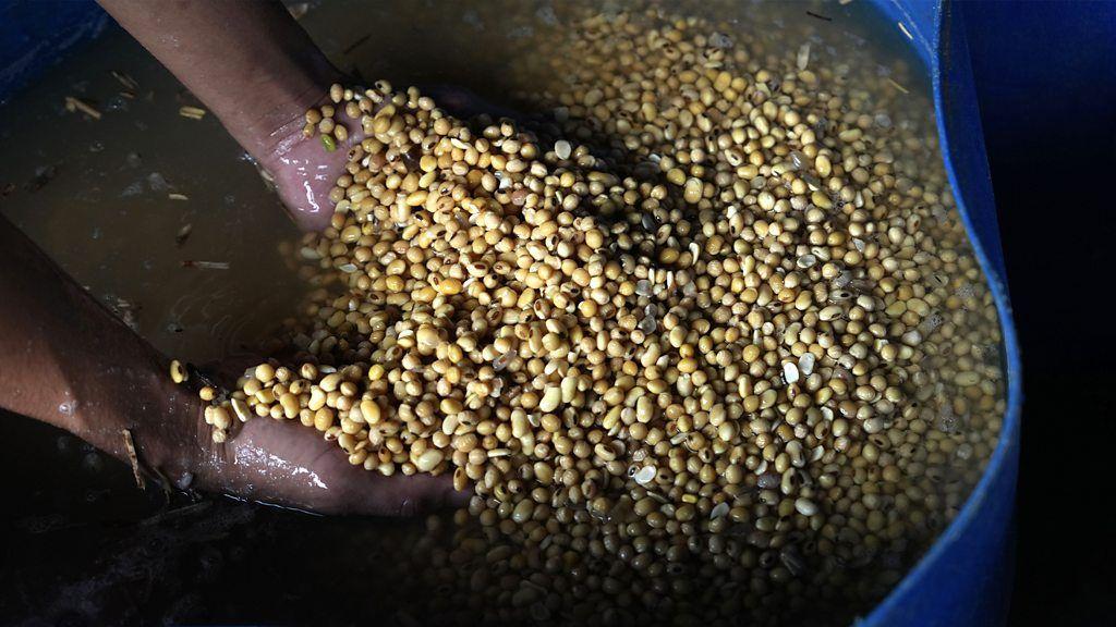 콩을 푸는 모습