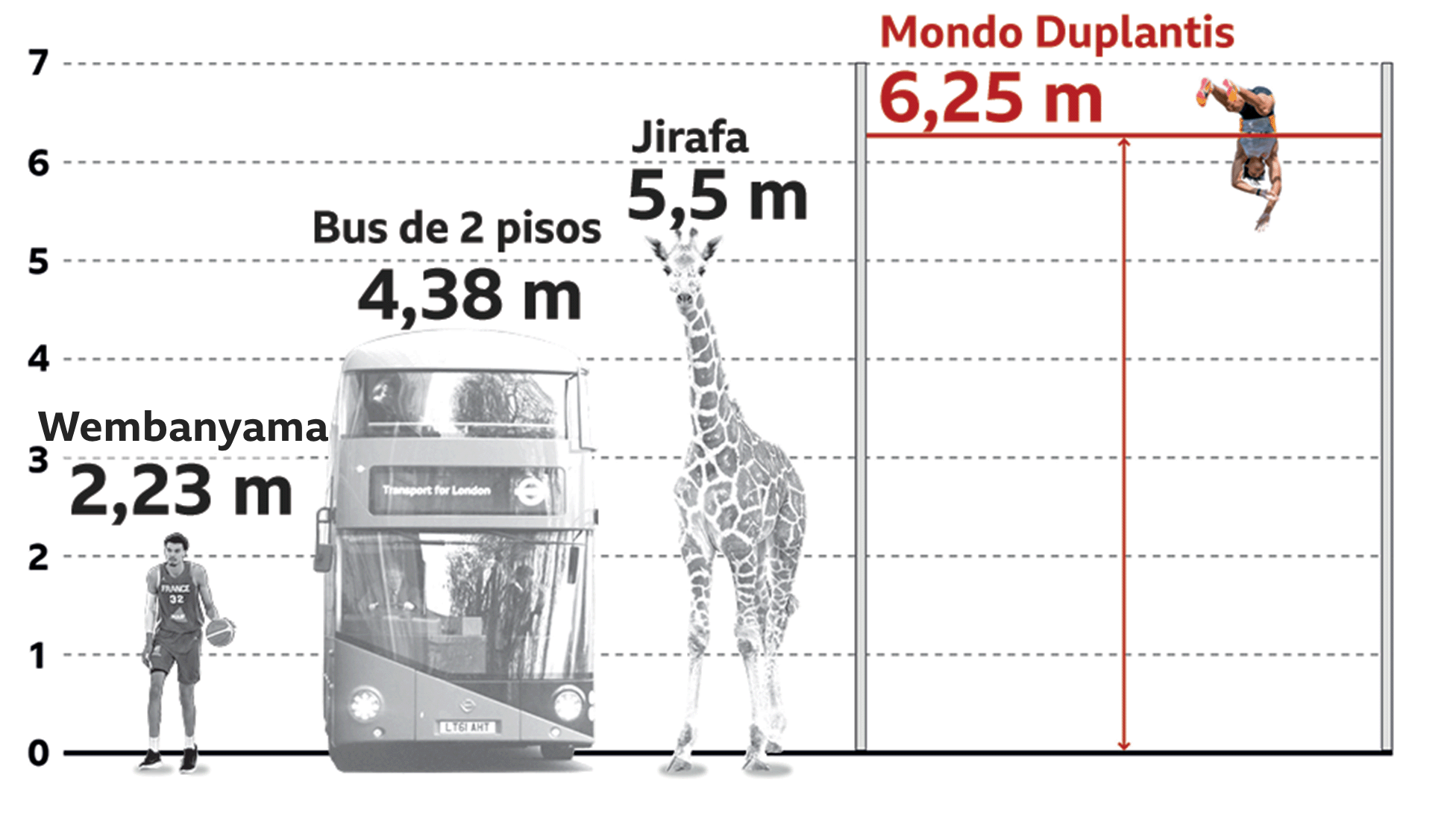 Comparación de la altura del salto de Mondo Duplantis con la de una jirafa, un bus de dos pisos y el jugador de baloncesto Victor Wembanyama