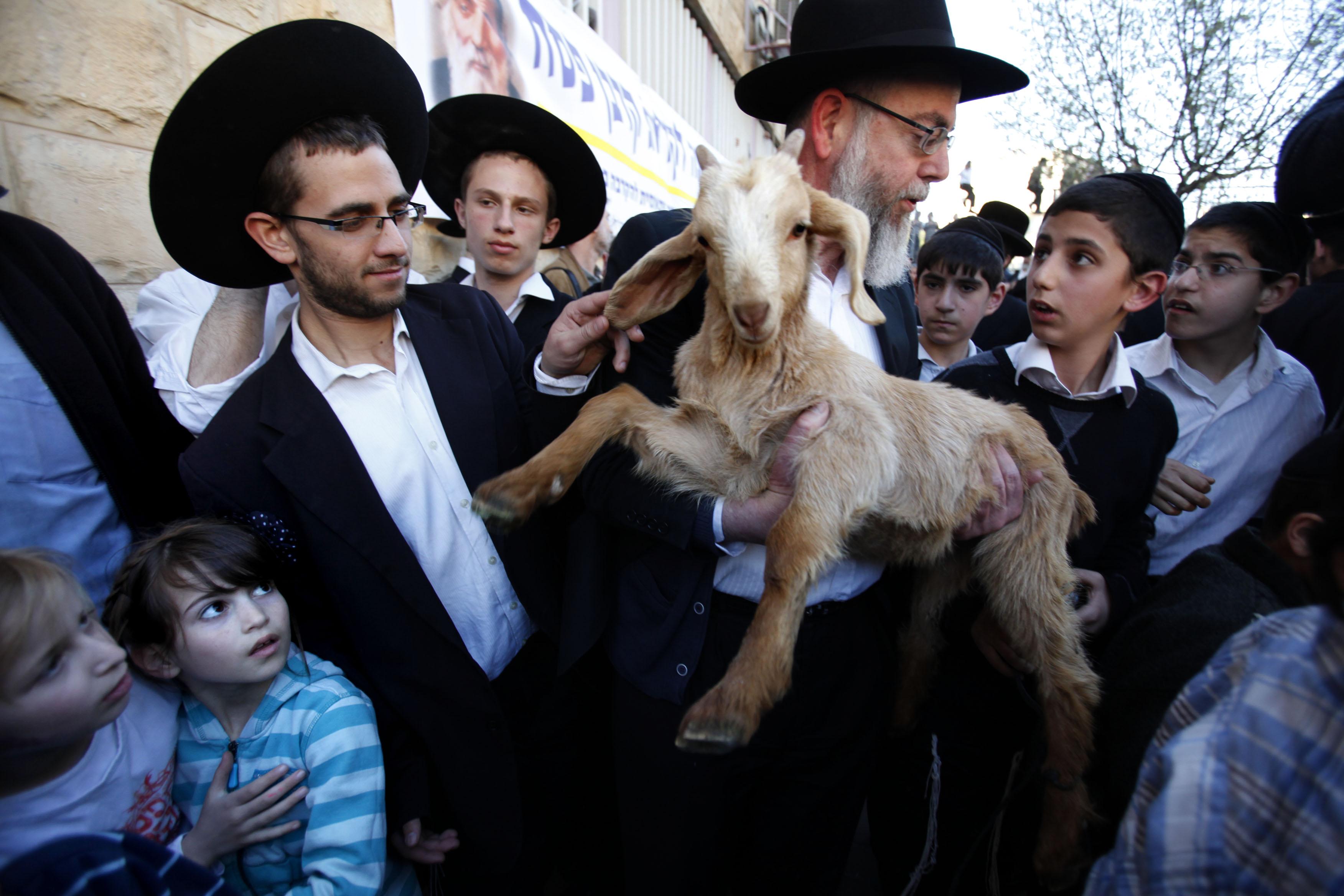 Homem com trajes judeus segura um cordeiro