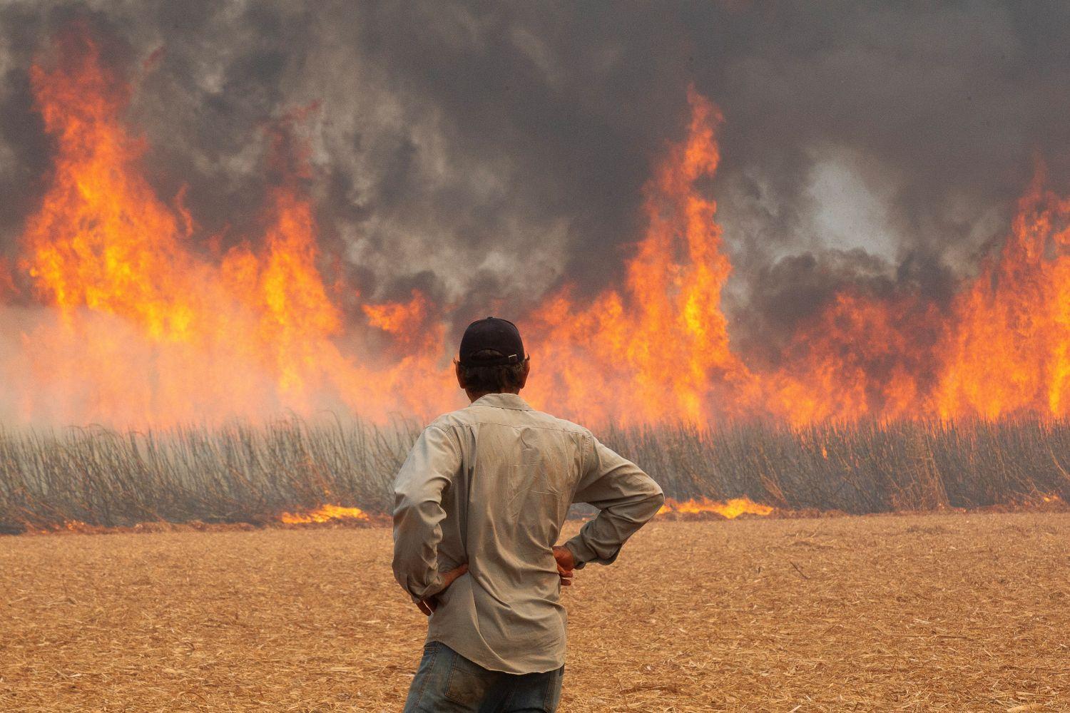 Um homem observa um incêndio em uma plantação de cana-de-açúcar perto da cidade de Dumont, Brasil