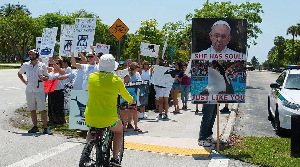 Imagem de pessoas em protesto com cartazes