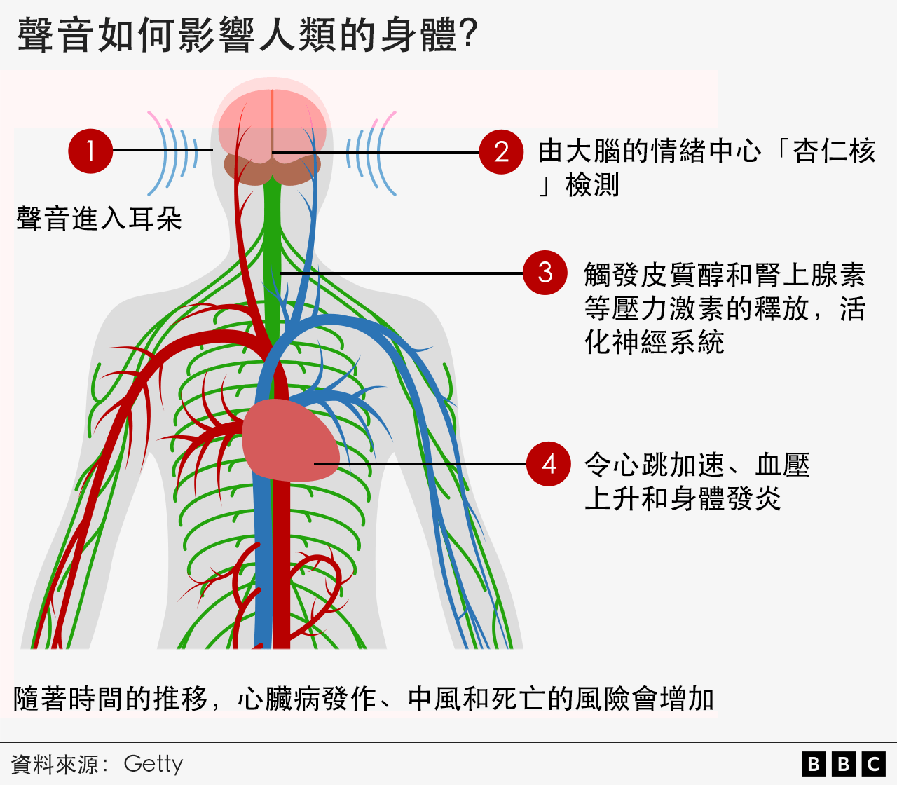 聲音如何影響人類的身體？1 聲音進入耳朵 2 由大腦的情緒中心「杏仁核」檢測 3 觸發皮質醇和腎上腺素等壓力激素的釋放，活化神經系統 4 令心跳加速、血壓上升和身體發炎，隨著時間的推移，心臟病發作、中風和死亡的風險會增加