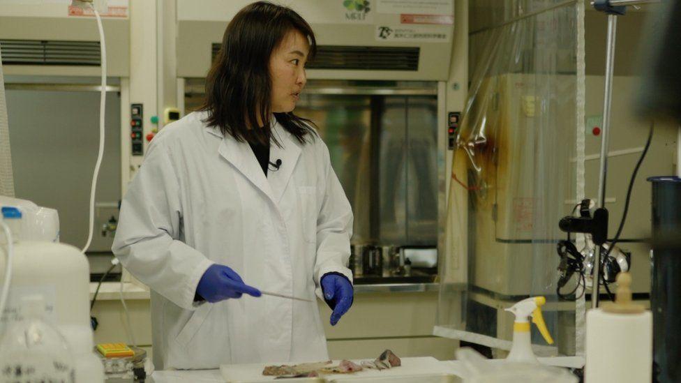 Ai Kimura estudia muestras de radiación en el laboratorio de Tarachine.