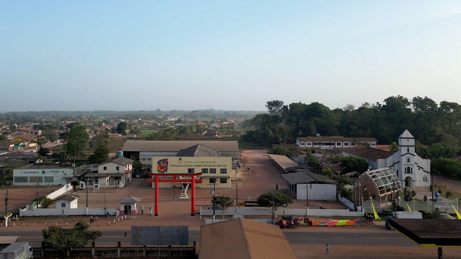 Avenida de Tomé-Açu, com edifícios e mata ao fundo