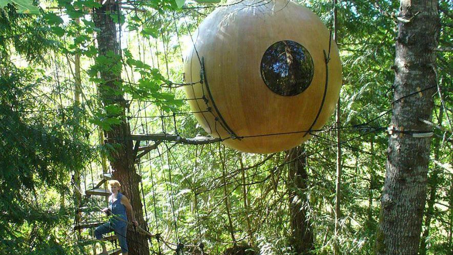 Cápsula em forma de bola entre as árvores; ao lado, uma mulher em uma escada no meio da floresta que leva até a cápsula