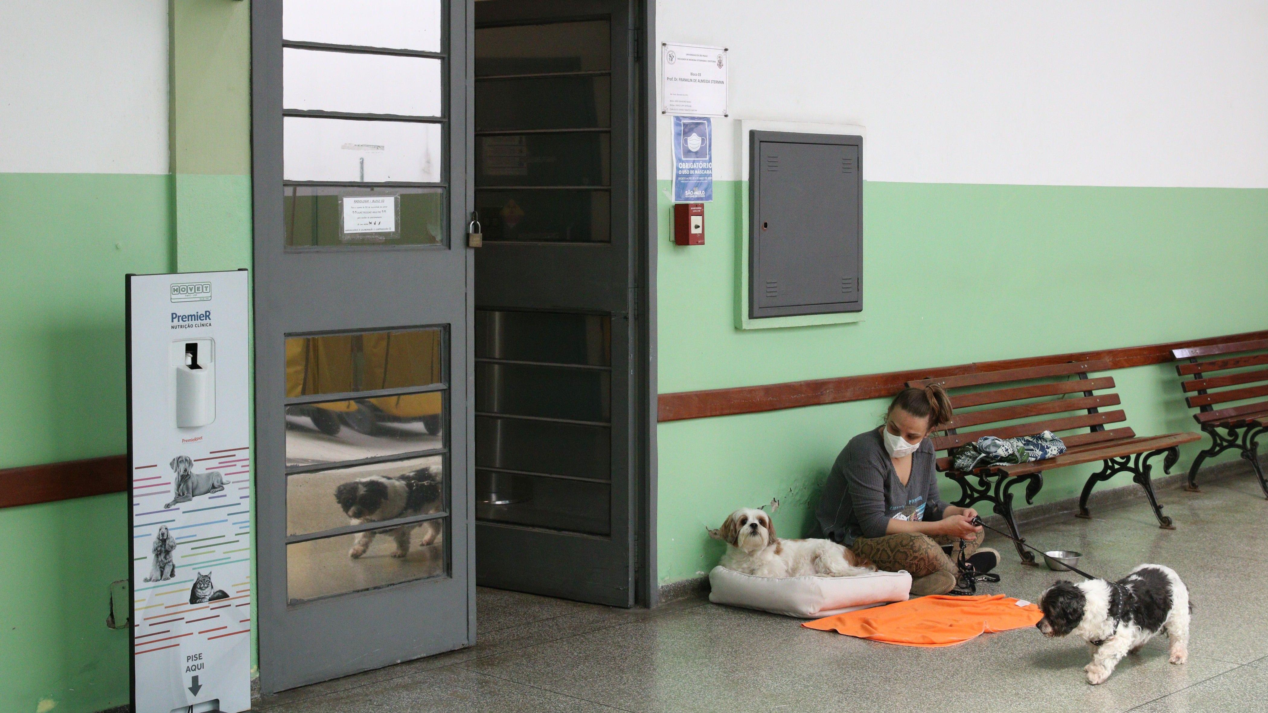 Hospital Veterinário Público de São Paulo