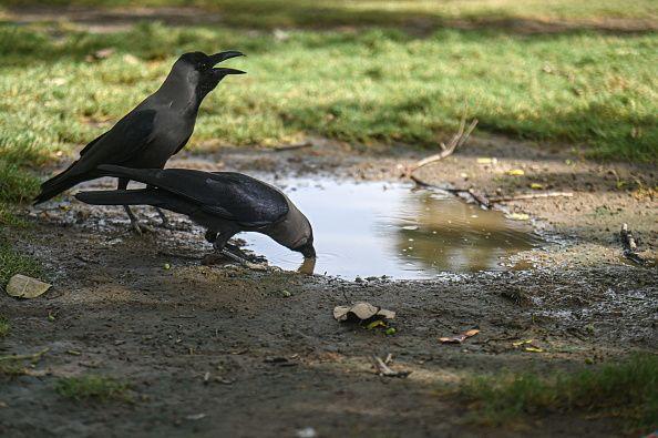 گرمی