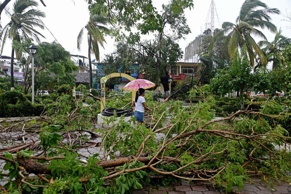 A woman walks next to fallen trees caused by Hurricane John in San Marcos, Guerrero state, Mexico, on September 24, 2024.