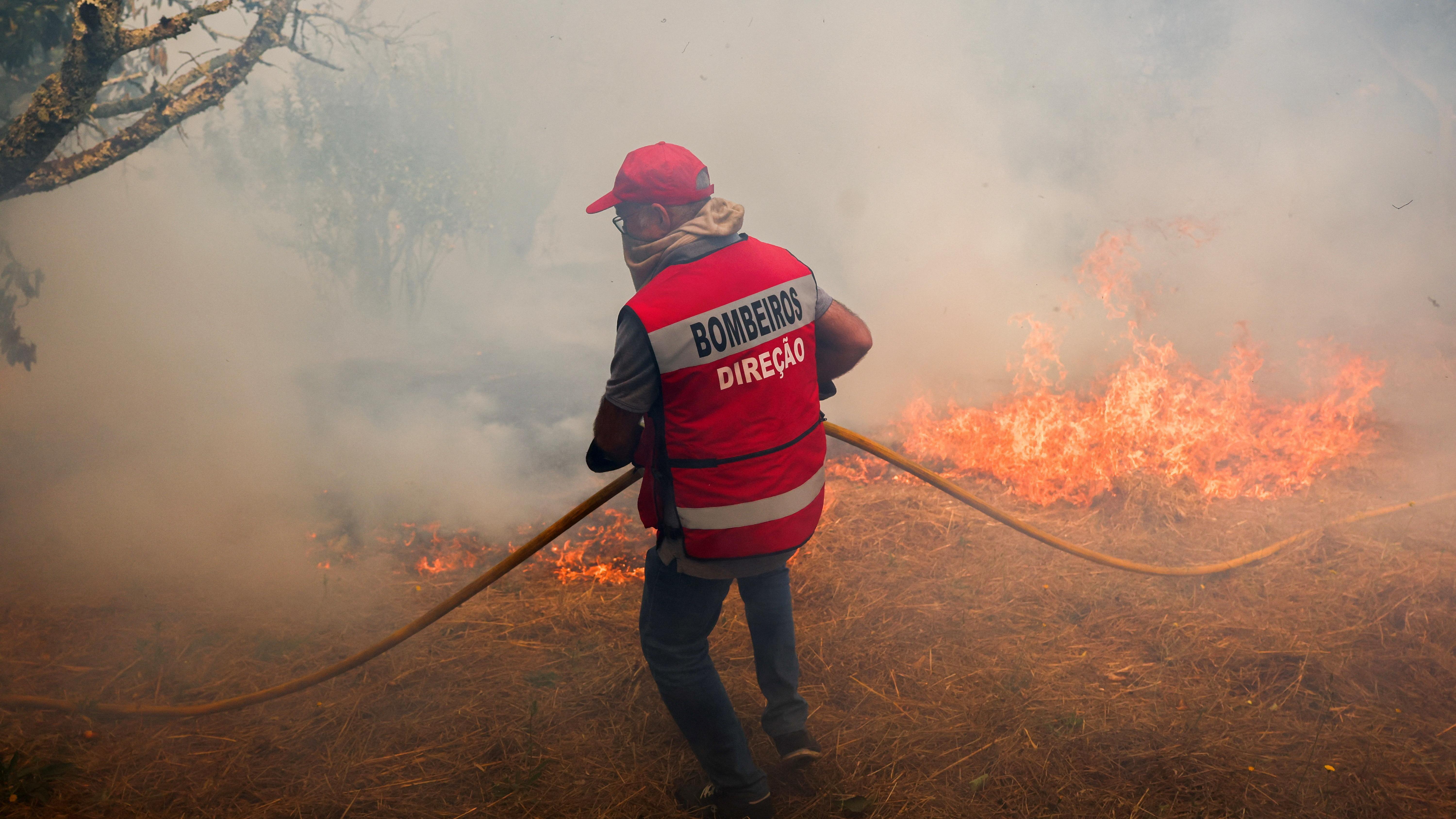 EU firefighting planes to help tackle Portugal wildfires