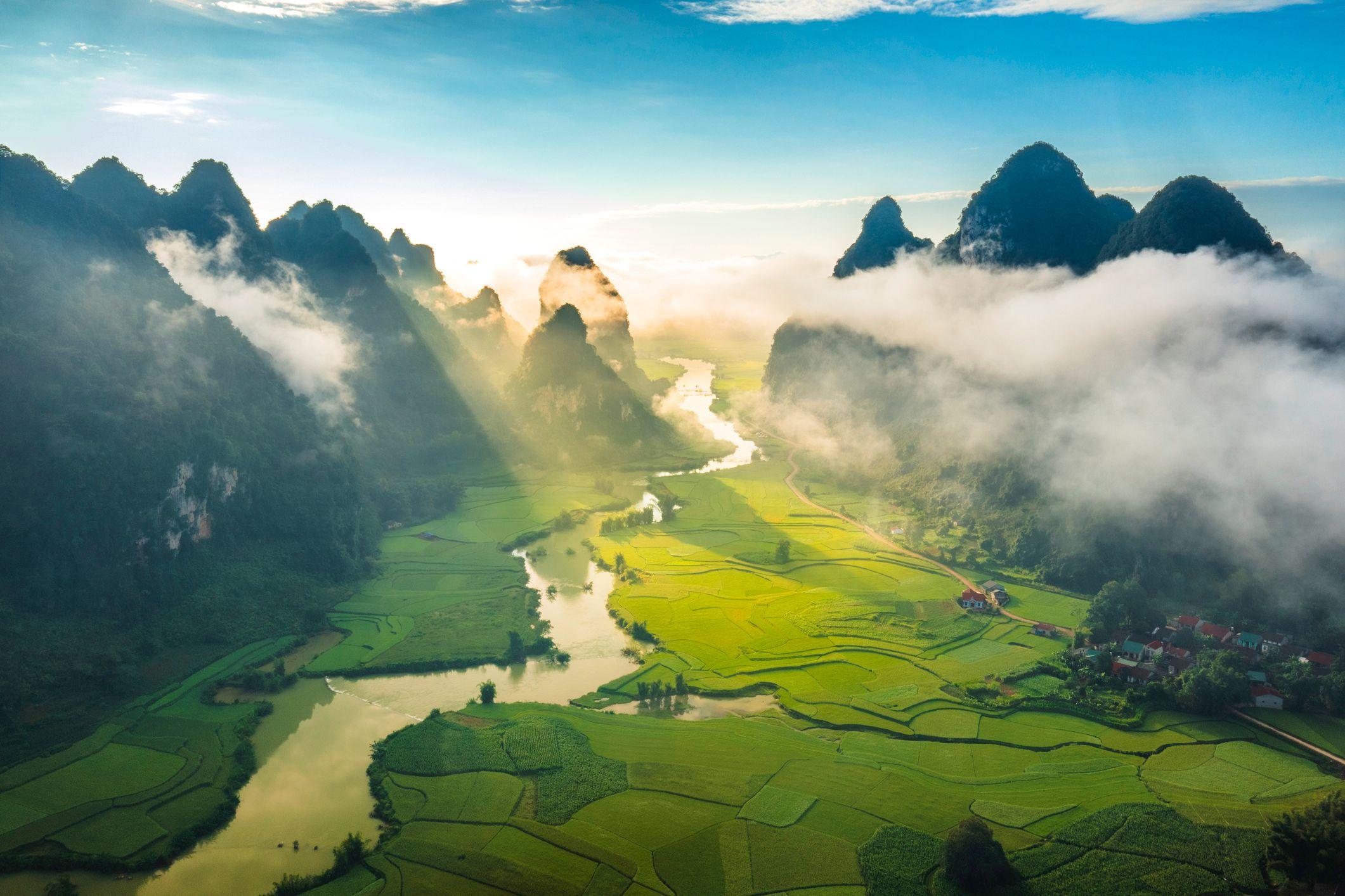 Fotografia aérea de um campo de arroz nas margens do rio em NinhBinh