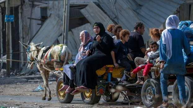 Palestinos utilizando a burros como medio de transporte en medio de apagones. 