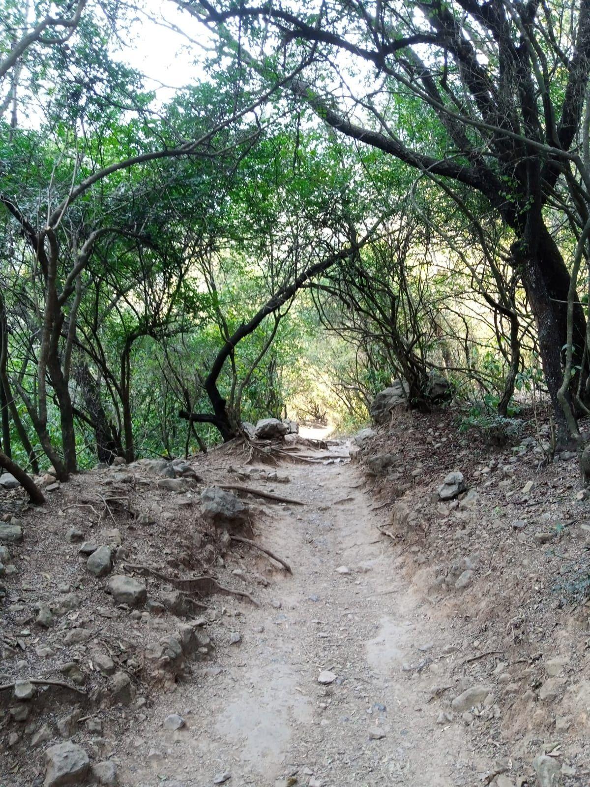 margalla hills