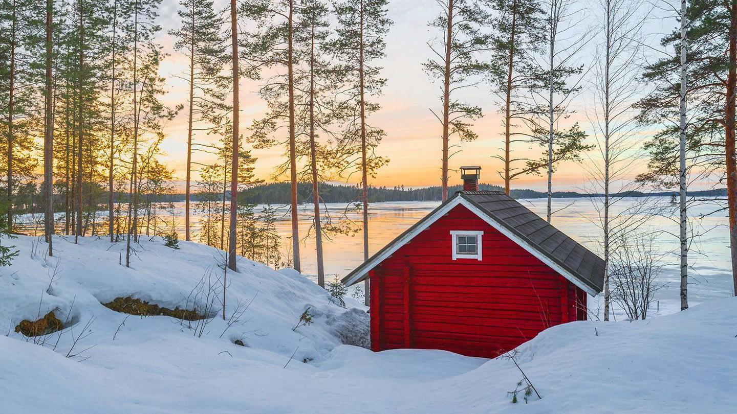 Cabaña en Suecia 