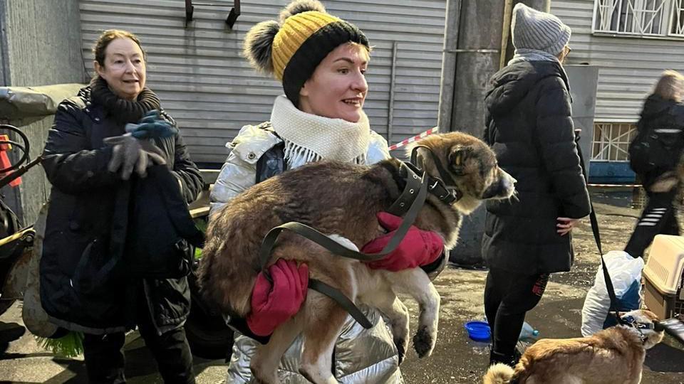 Uma ativista dos direitos dos animais carregando um cachorro de rua
