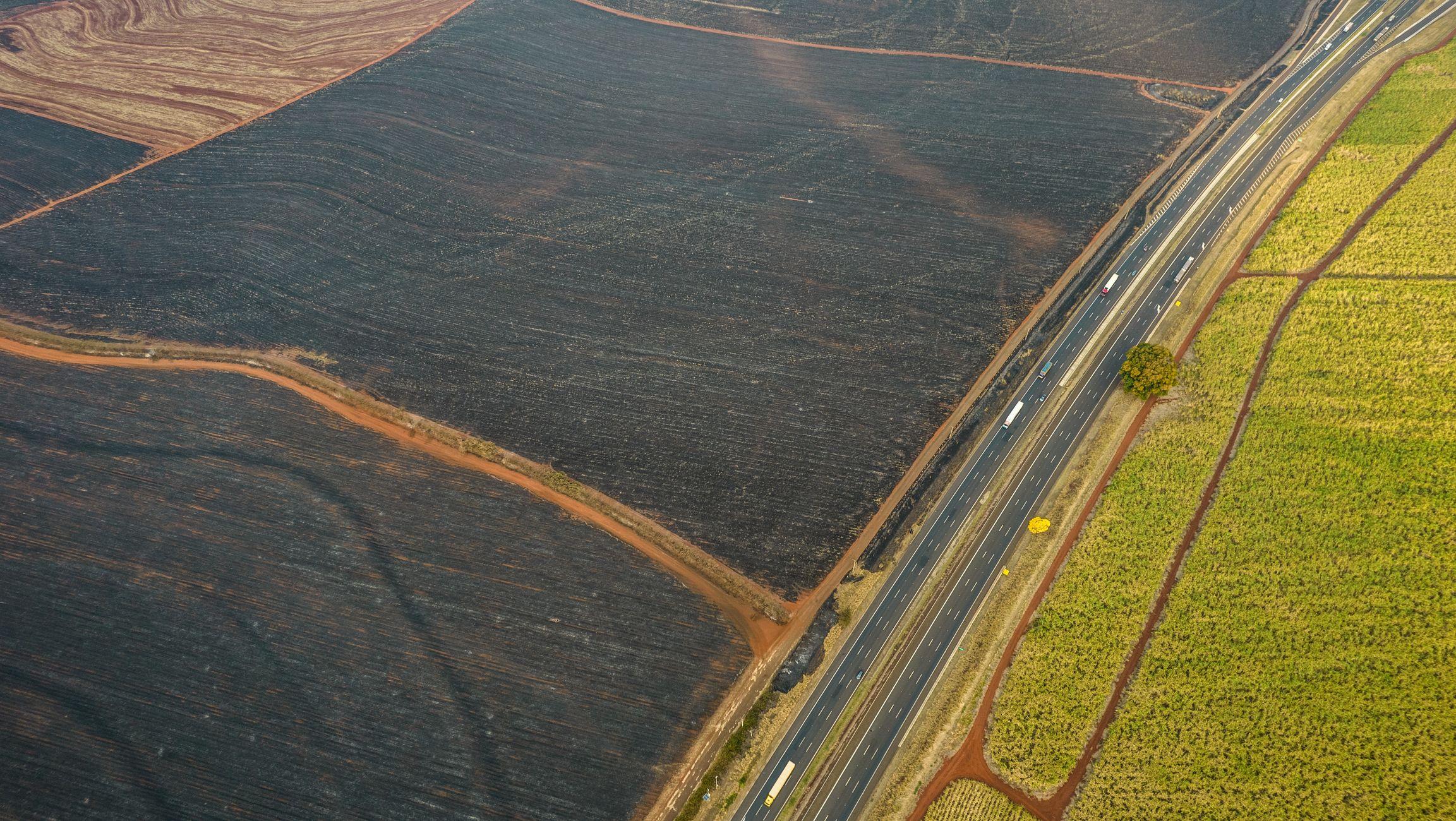 Foto aérea mostra parte queimada e parte verde divididas por estrada