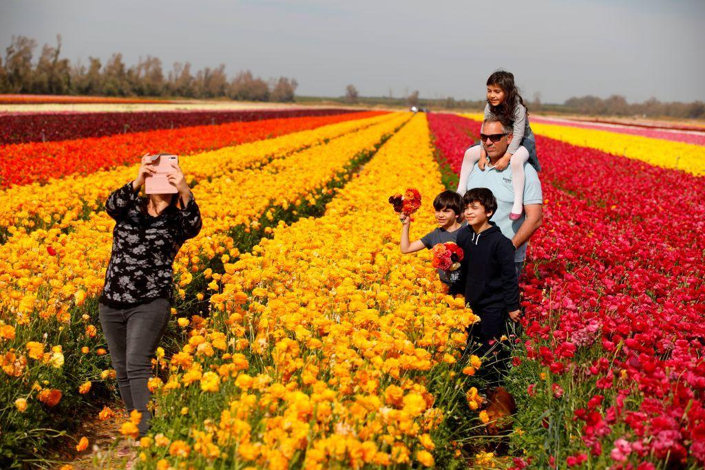 Familia tomándose fotos en cultivo de flores del kibbutz