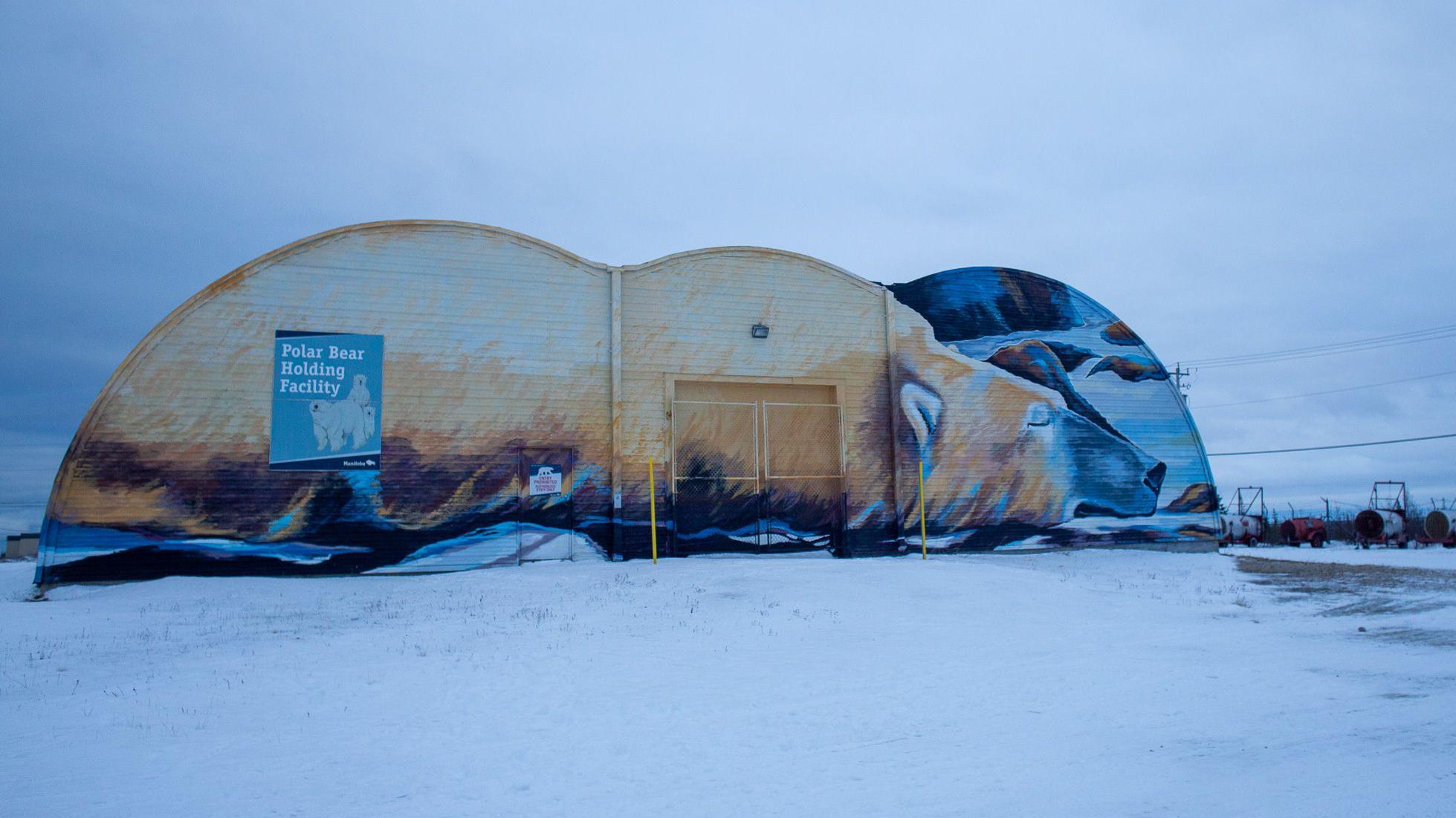 A imagem mostra a instalação de detenção de ursos polares em Churchill, Manitoba, com um grande mural de ursos polares pintado na fachada em um cenário nevado.