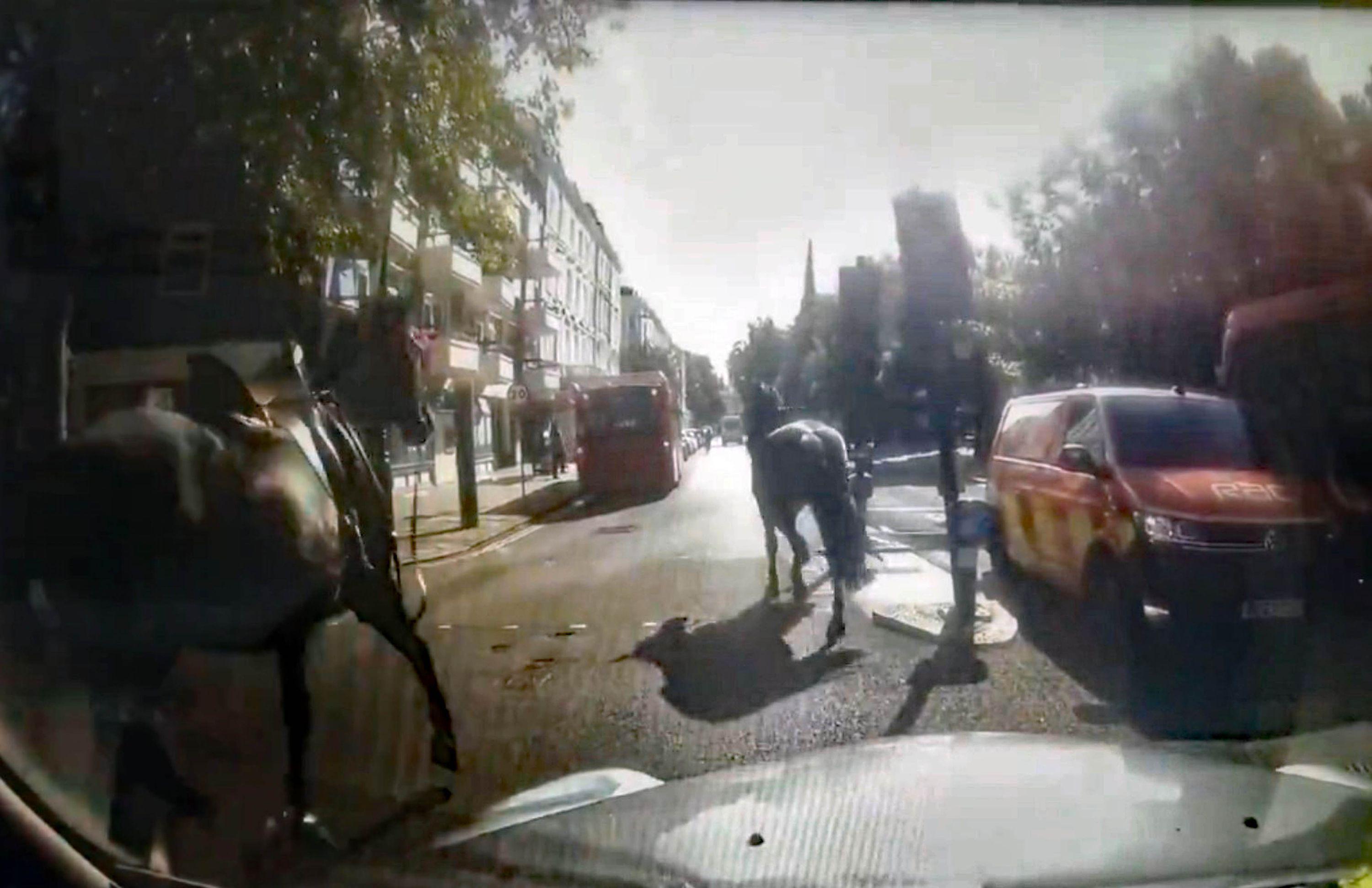Military horses run loose again in central London