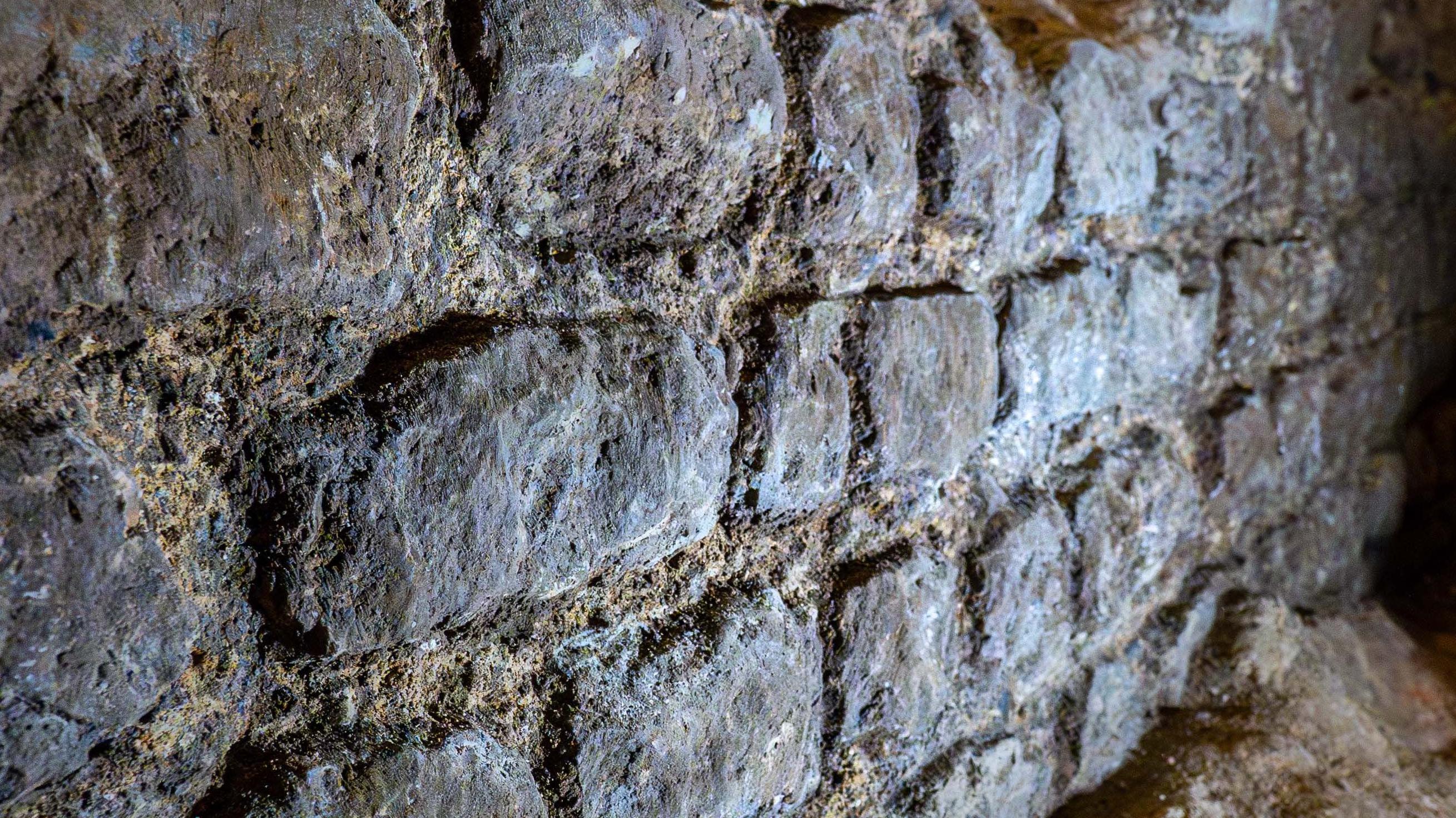 Parte bem preservada do muro romano feito de pedra calcária. É possível ver as pedras individuais, assim como a argamassa entre elas