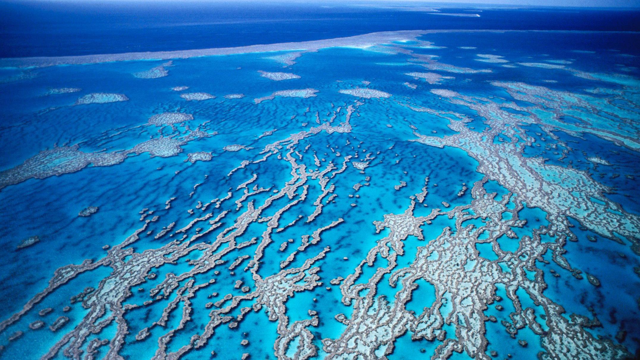 Imagem aérea mostra recifes vistos no triângulo de corais