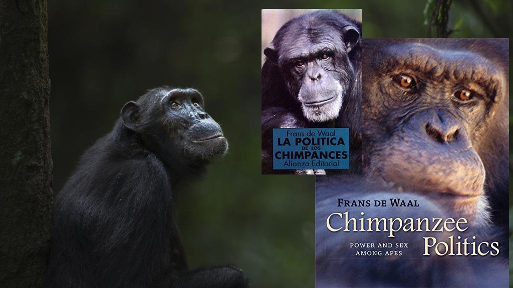 Chimpancé y portada del libro en inglés y español