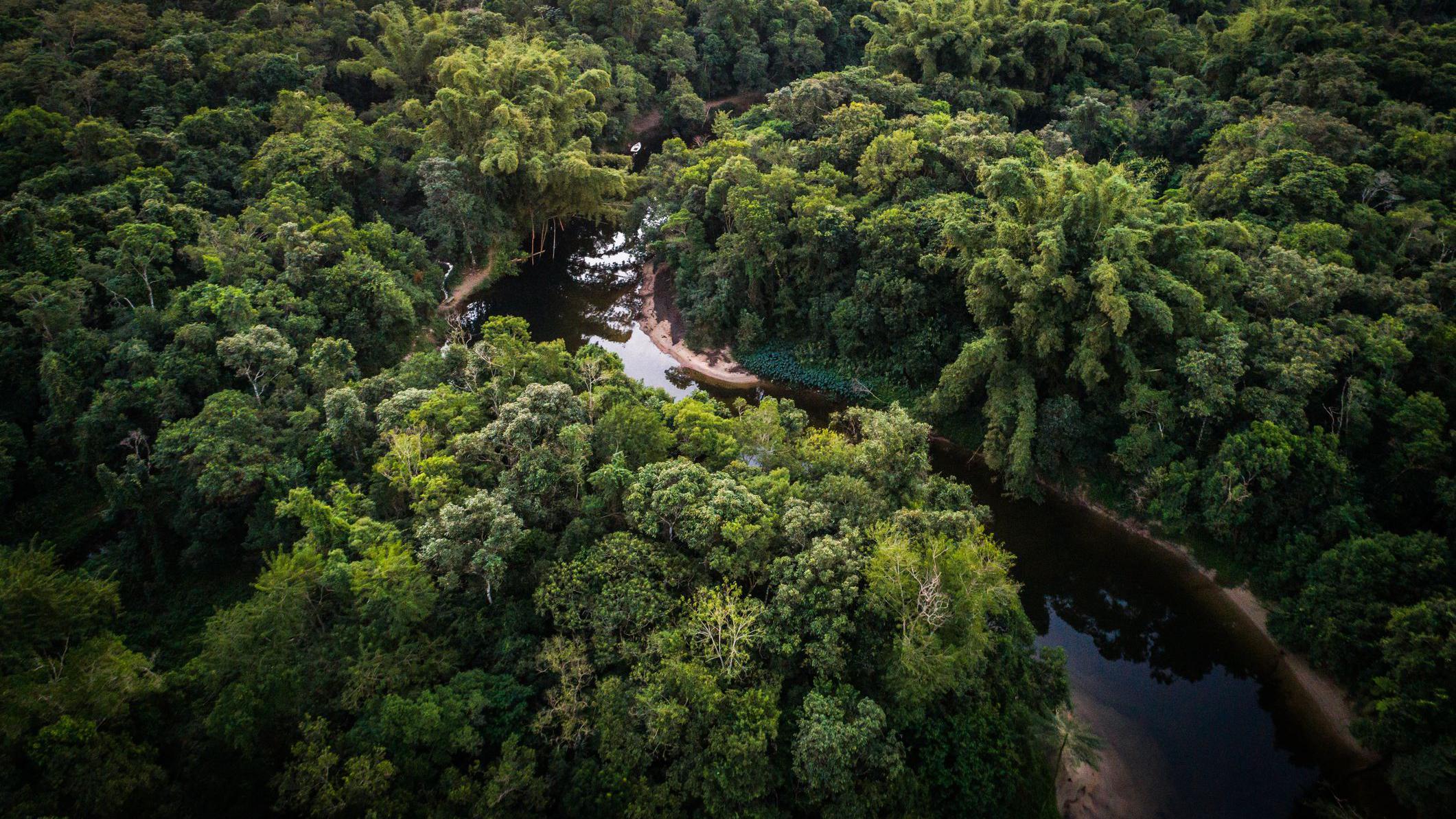 vista aérea del amazonas 