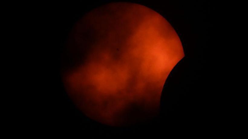 Árvores em frente a um sol parcialmente coberto por pedaço da lua