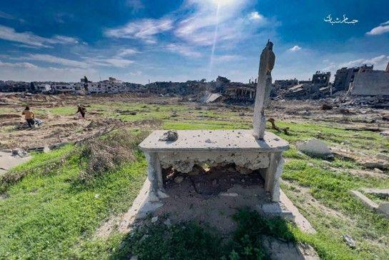 صورة تظهر آثار تجريف واضح على الجانب الأيسر من الصورة في مقبرة بيت حانون (مصدر الصورة حسام شبات)