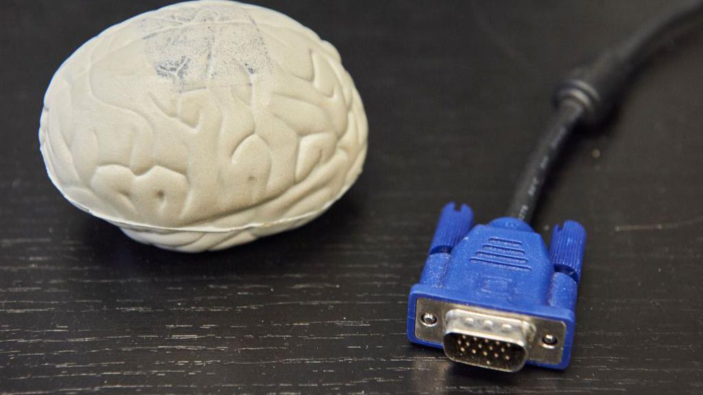 Un cerebro de plástico y un cable.