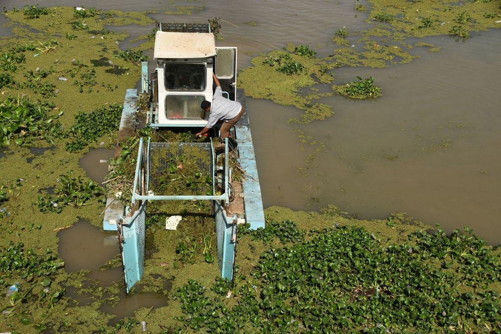 Maquina erradica al jacinto de agua dulve