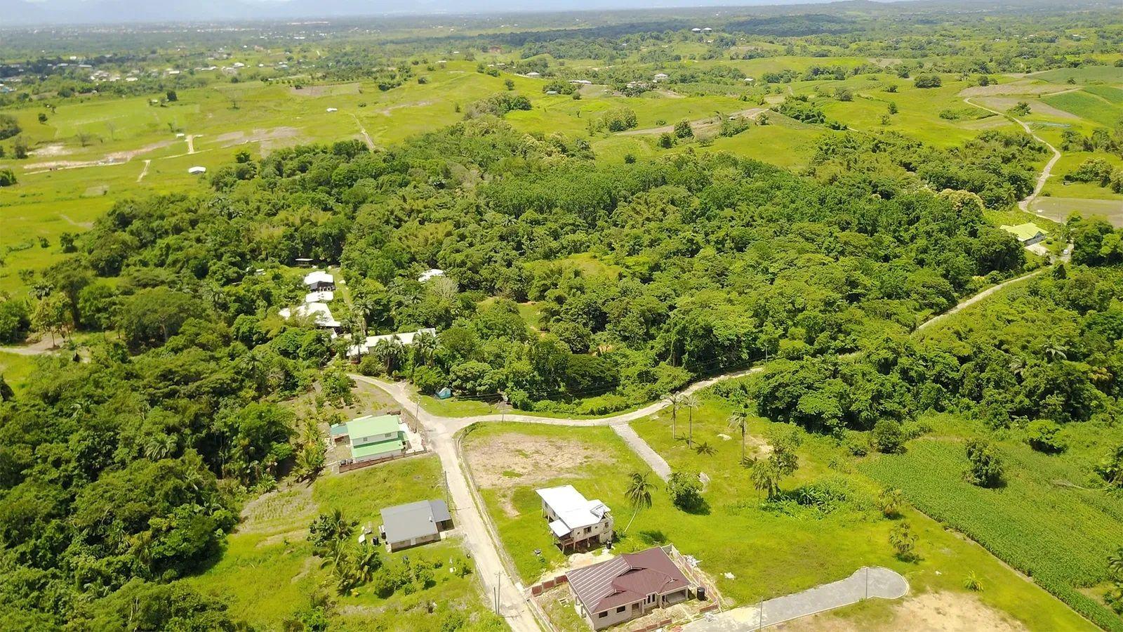 Casasa en un bosque 